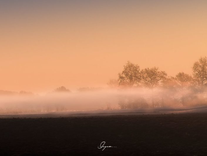 Paysage